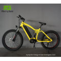 Fat Tire Electric Mountainbike Full Suspension